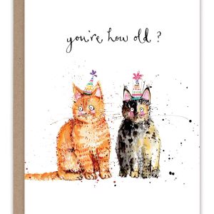 Biely & Shoaf – Cats You’re How Old? Birthday Card