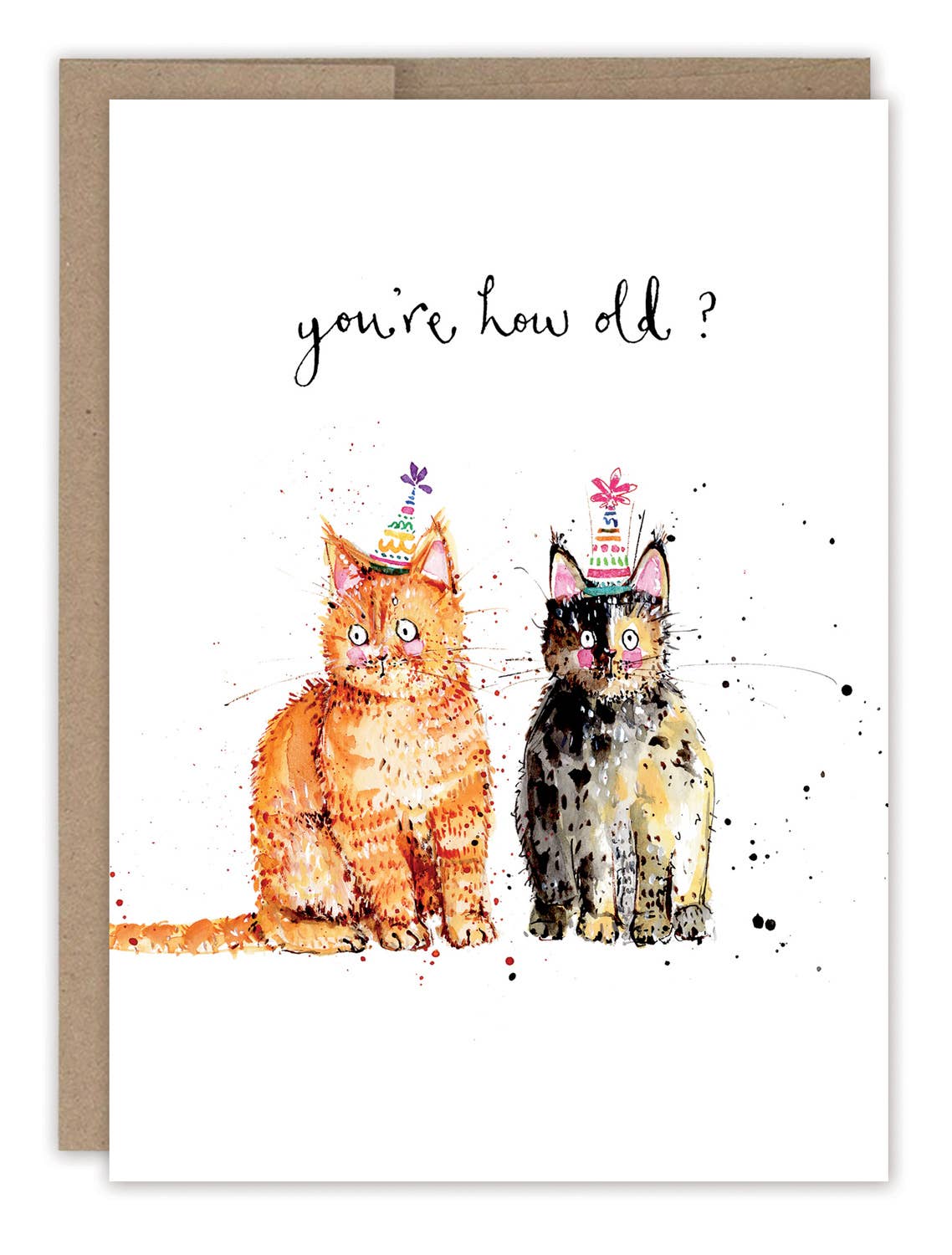 Biely & Shoaf – Cats You’re How Old? Birthday Card