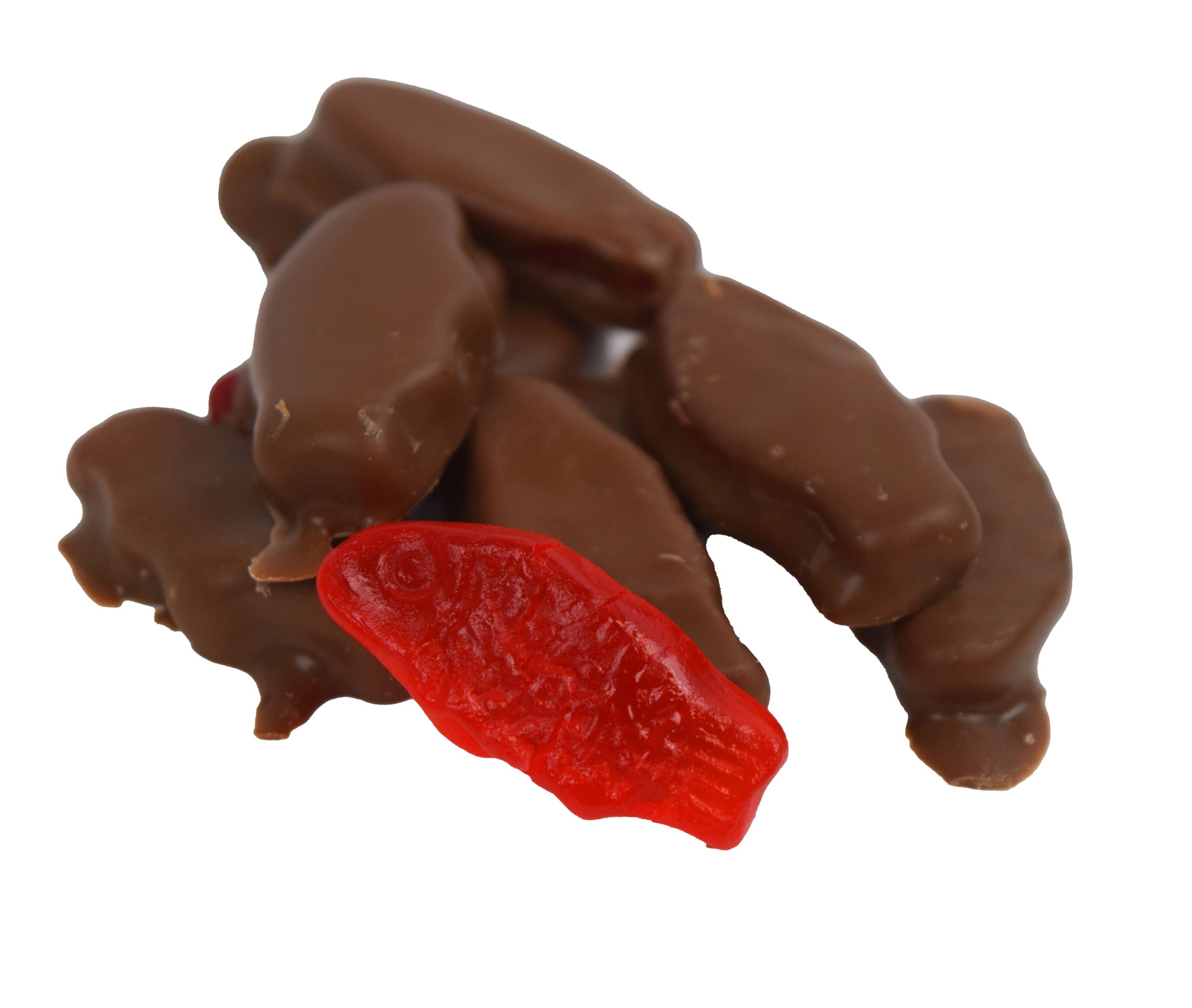 Chocolate Covered Swedish Fish