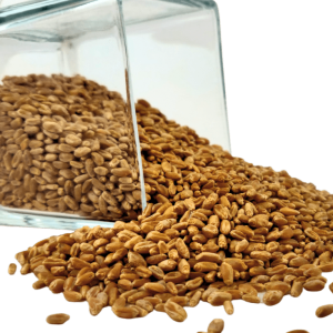 Wheat Berries, Hard Red, Winter Wheat, Wheat Montana