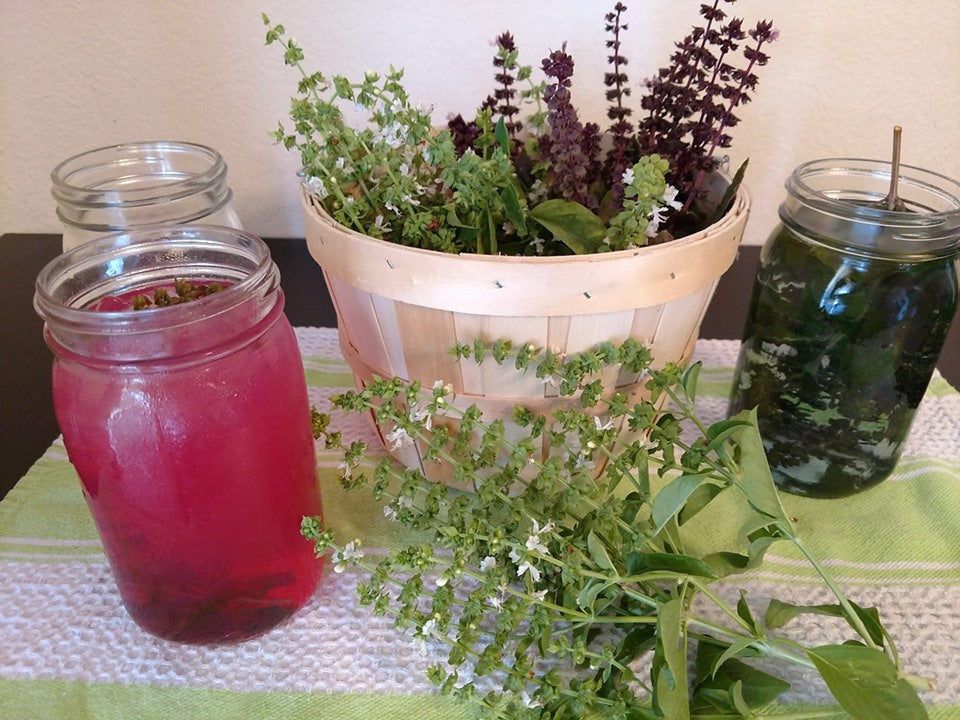 Mary’s Basil Seed Collection