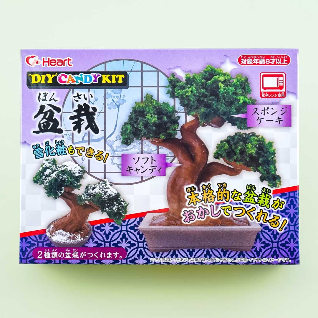 Heart Bonsai Candy Making DIY Kit