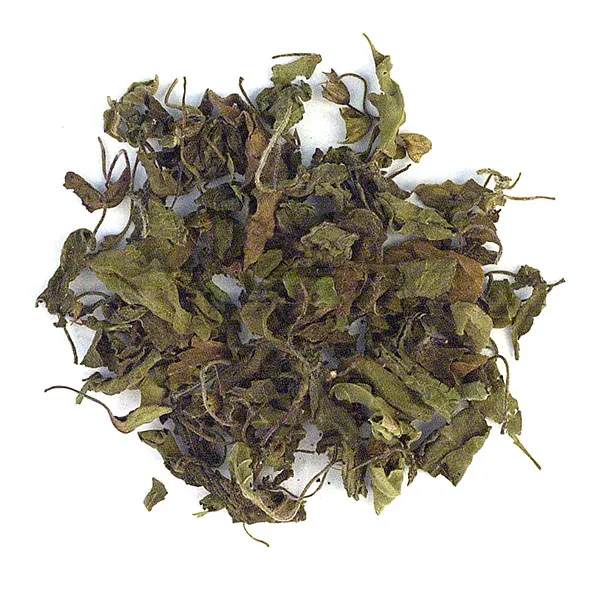 Rama Tulsi (Holy Basil)