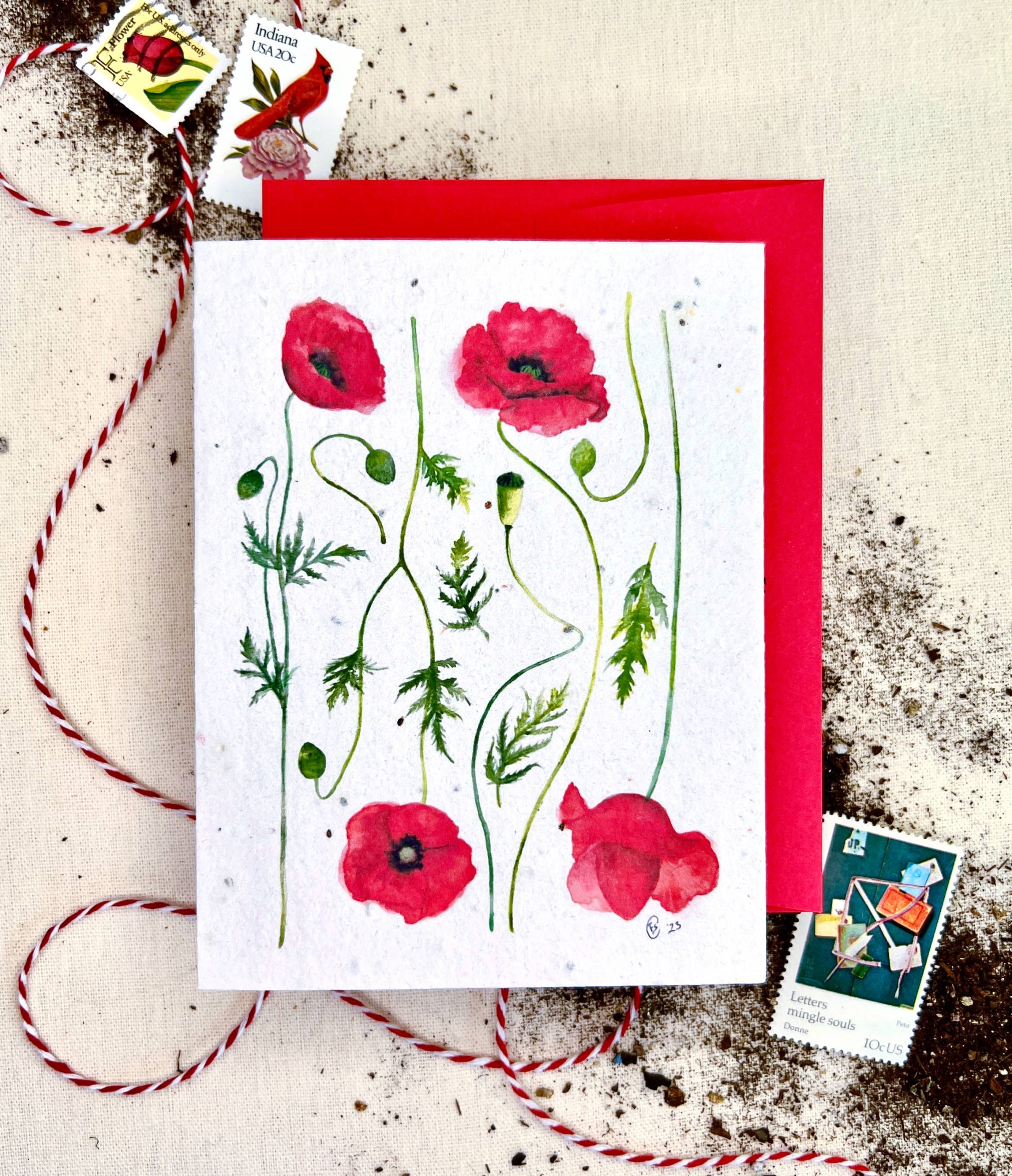 Notes of Eden Seed Cards – Poppy Fields Wildflower Mix Plantable Seed