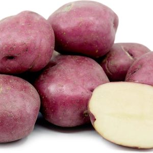Red Norland Seed Potato