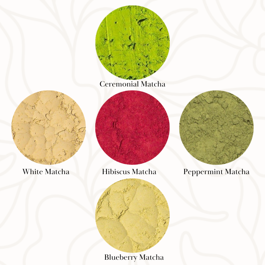 Matcha Starter Kit Collection