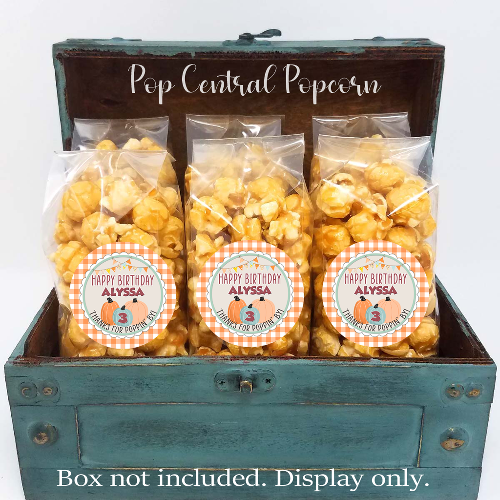 Plaid Pumpkin Patch – Birthday Party Favors