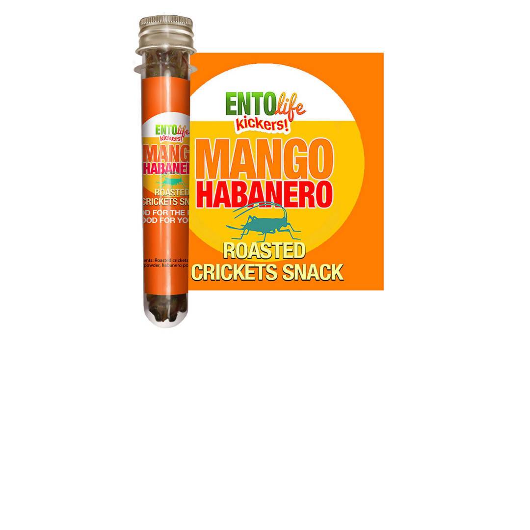 Mango Habanero Roasted Cricket Snack Tubes – 6 x 10g