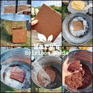 Coconut Coir Bricks