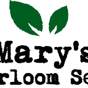 September 2025 Seeds of The Month
