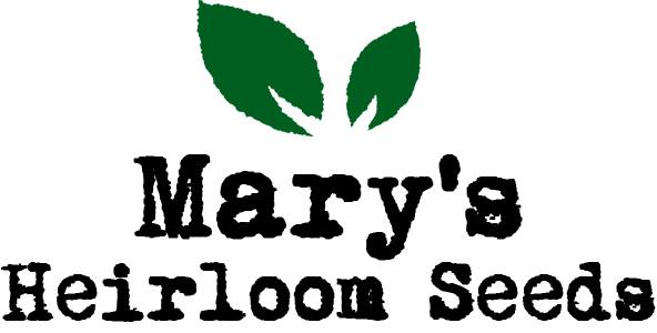 September 2025 Seeds of The Month