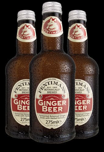 Fentimans North America Ginger Beer Beer, 9.3 Fl Oz. | Pack of 6