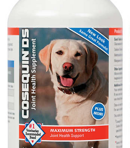 Cosequin DS Plus MSM Joint Health Supplement for Dogs, 180 Tablets