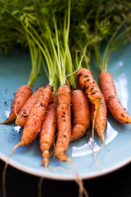 Little Finger Carrot BULK