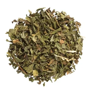 Spearmint Organic