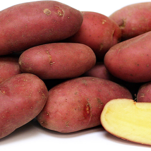 French Fingerling Potato