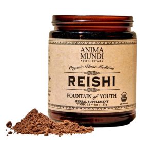Reishi Mushroom Powder | Fountain of Youth Jars – 4 Jars x 4oz