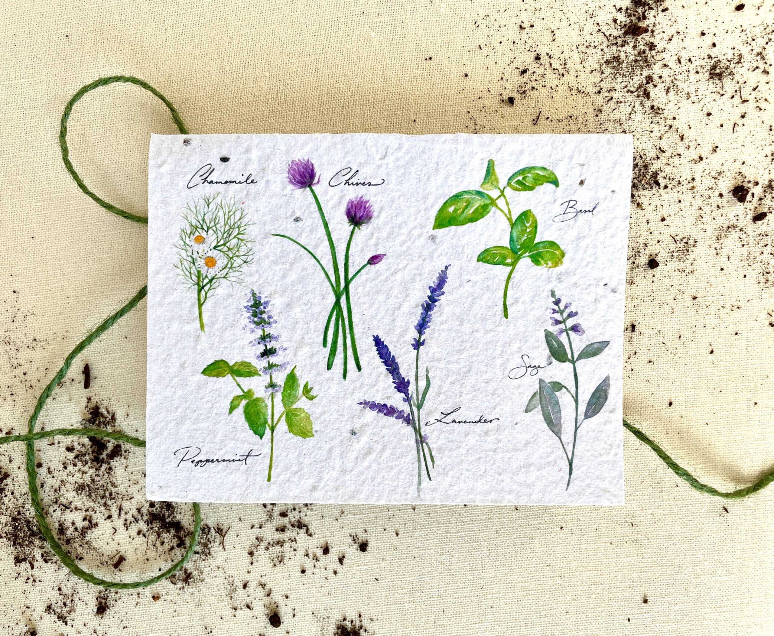 Notes of Eden Seed Cards – Herb Garden Plantable Seed Card: Compostabl