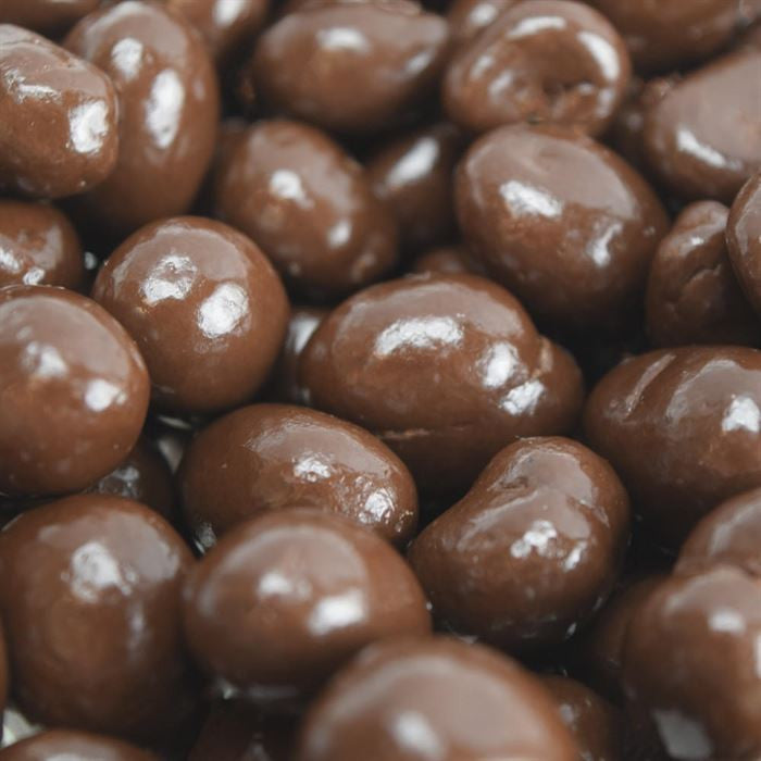 No Sugar Added Dark Chocolate Peanuts – 8 oz Bag