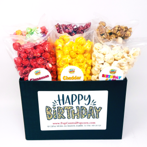 Black Leopard Birthday – Variety 6 Pack – Mini Bags