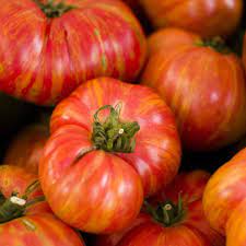 Vintage Wine Tomato