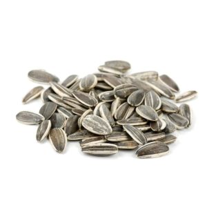 Davis Lewis Orchards – Raw Sunflower Seeds