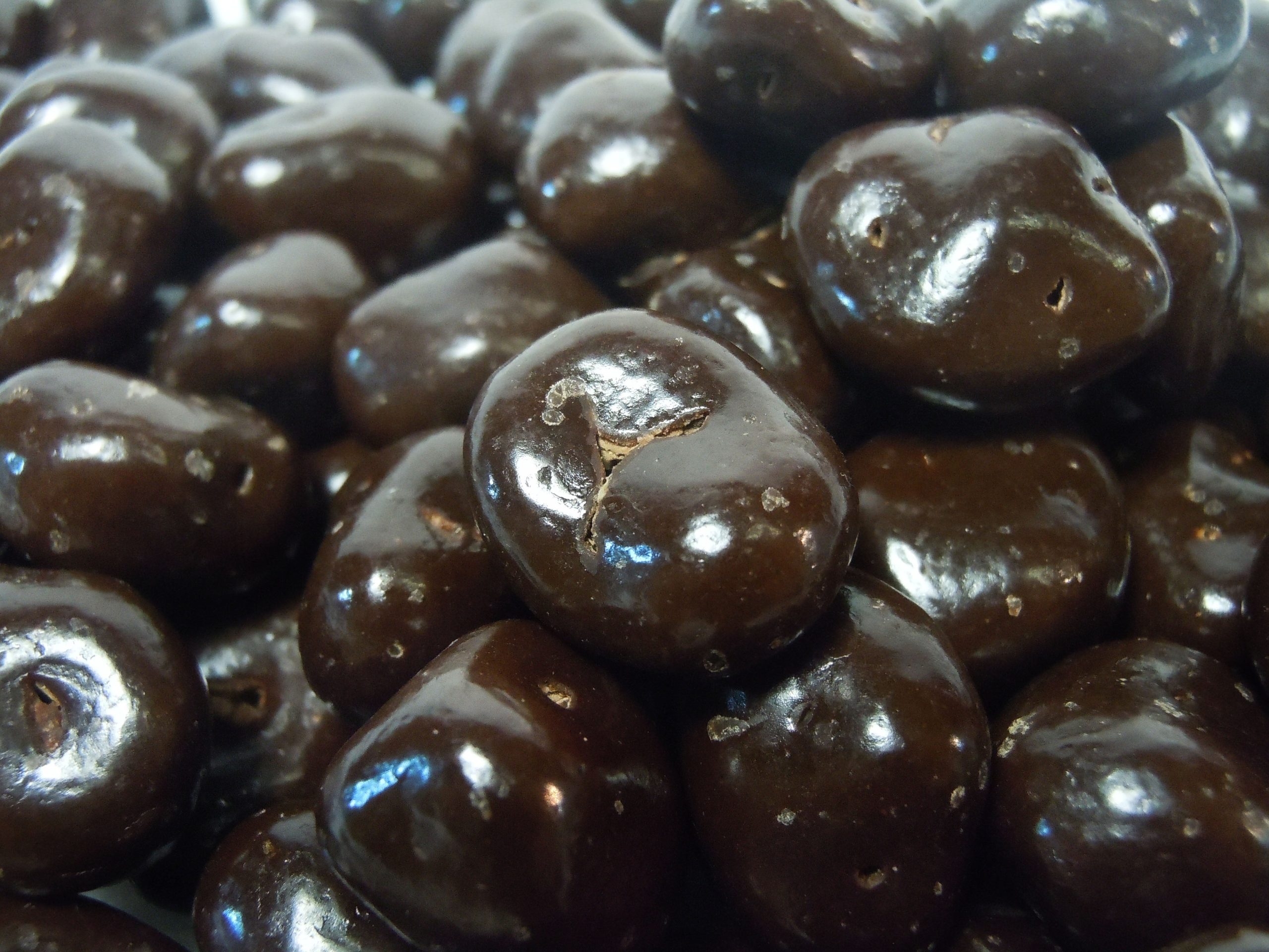 No Sugar Added Dark Chocolate Covered Raisins – 8 oz Bag