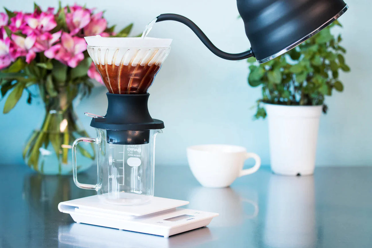 Bold Bean Coffee Roasters Hario – SWITCH Immersion Dripper