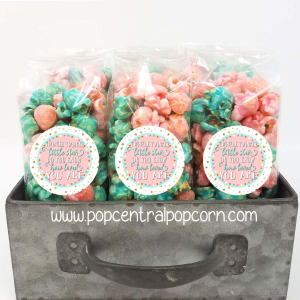 Twinkle Twinkle Baby Shower – Popcorn Favors