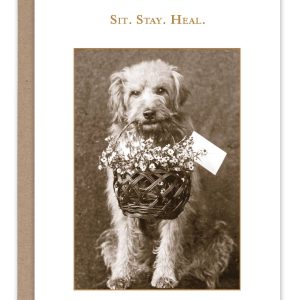 Shannon Martin Design – Sit. Stay. Heal. Card