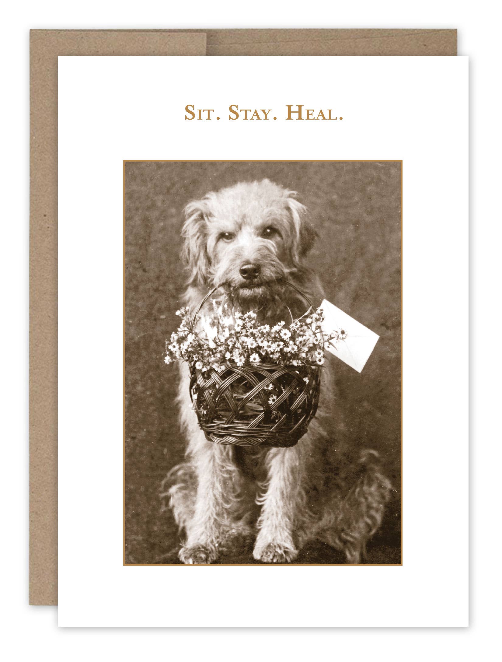 Shannon Martin Design – Sit. Stay. Heal. Card