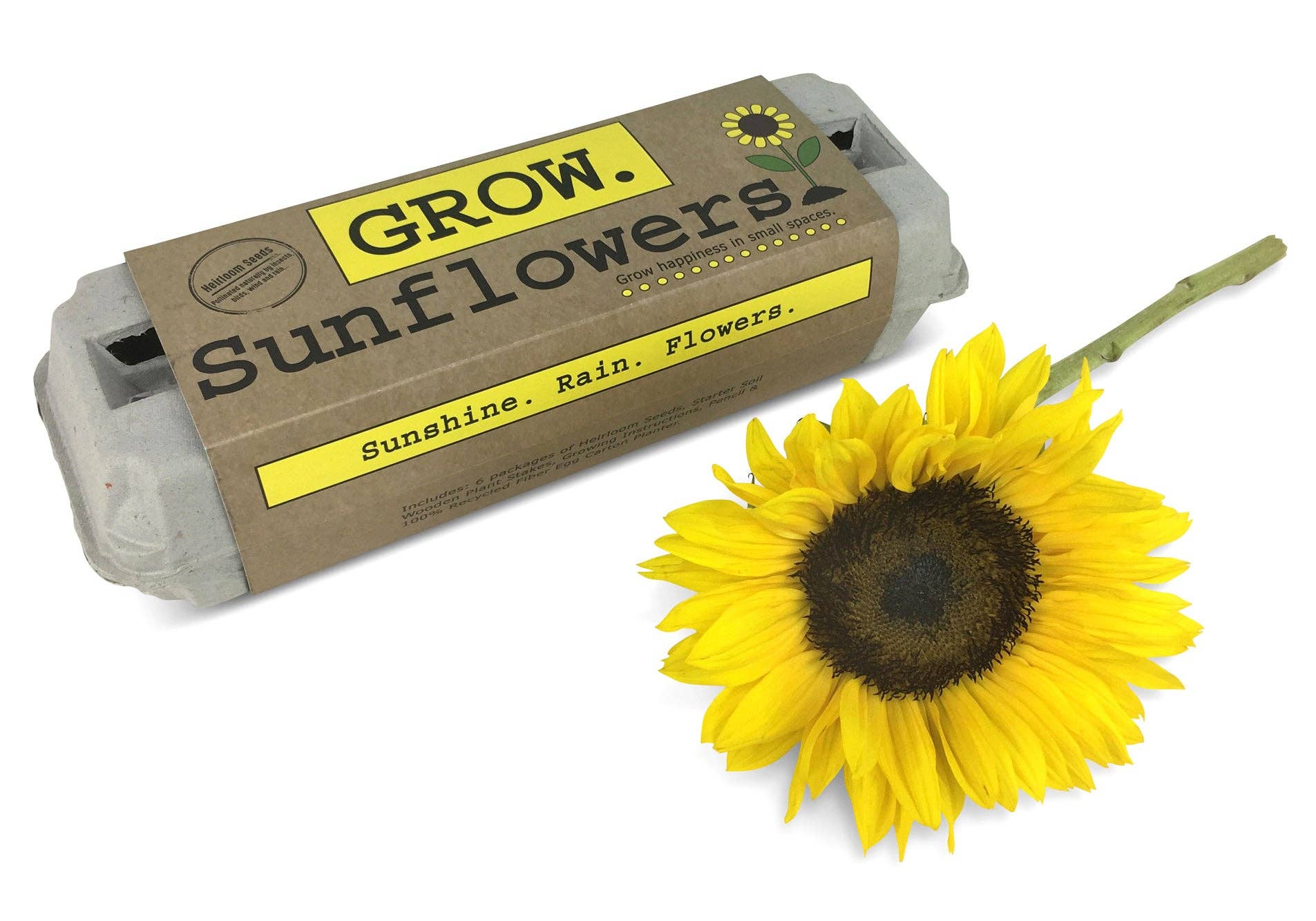 Backyard Safari Company – Sunflower Garden Grow Kit