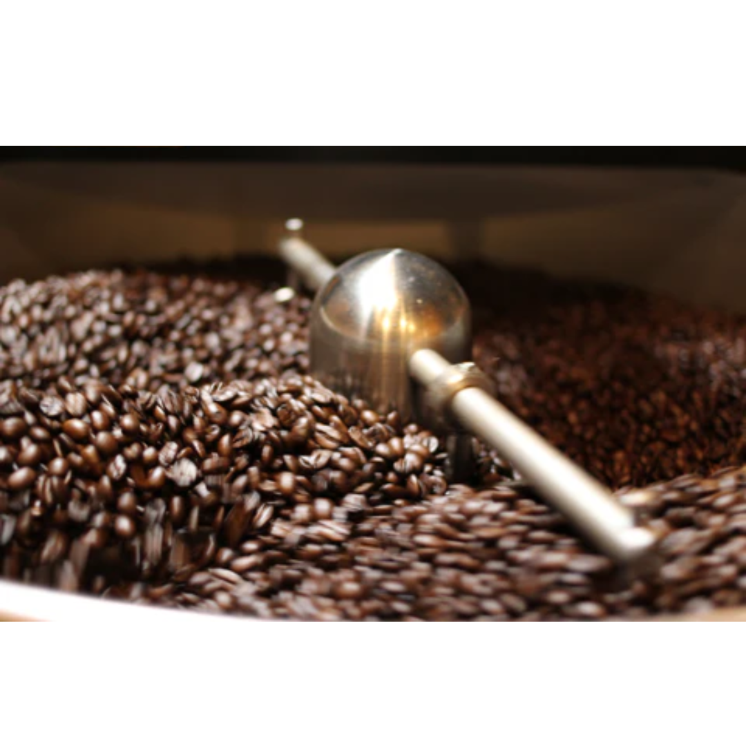 Kopi Luwak – The World’s Rarest Coffee (200g / 500g) – Kurumira Shop