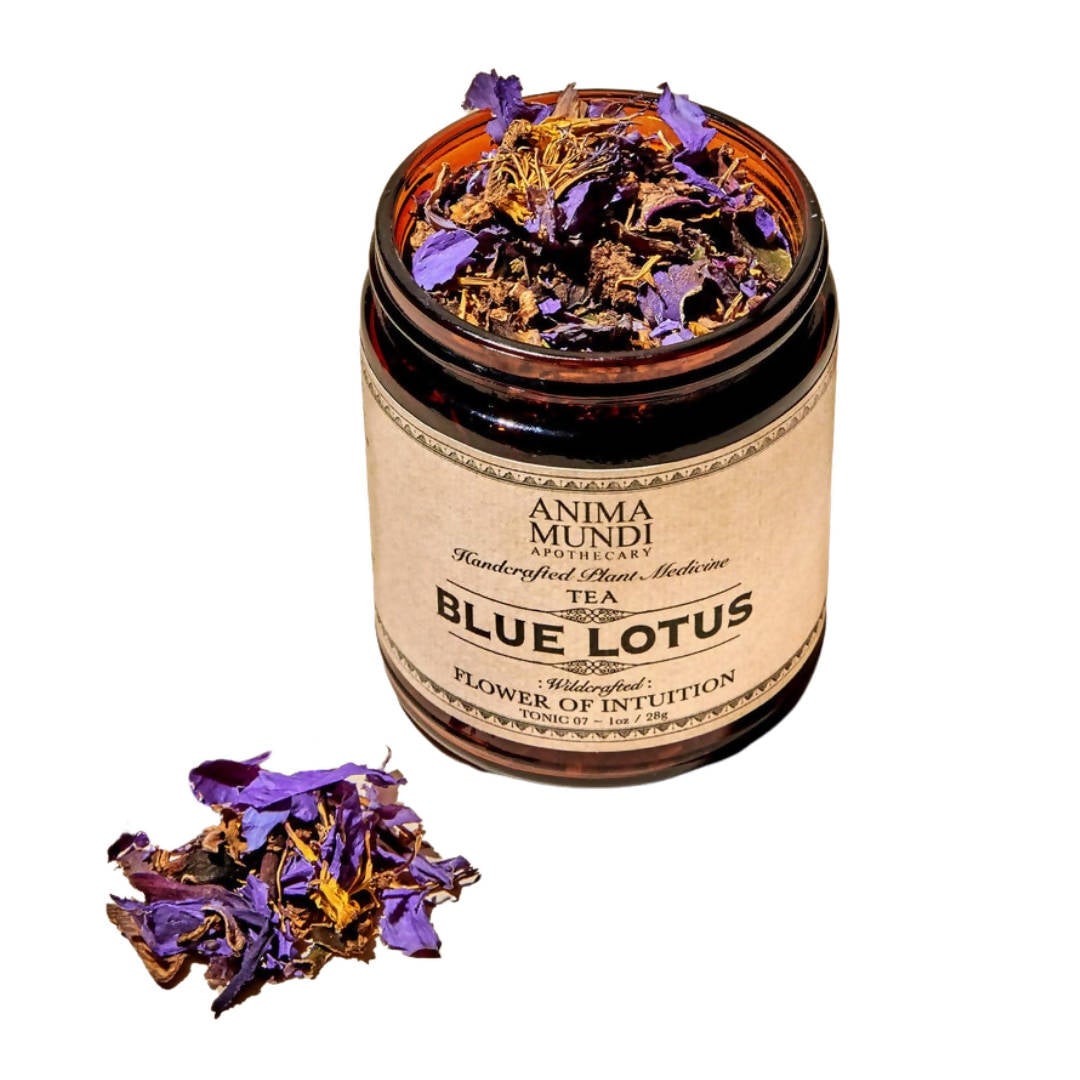 Blue Lotus Tea – 4 jars x 1oz