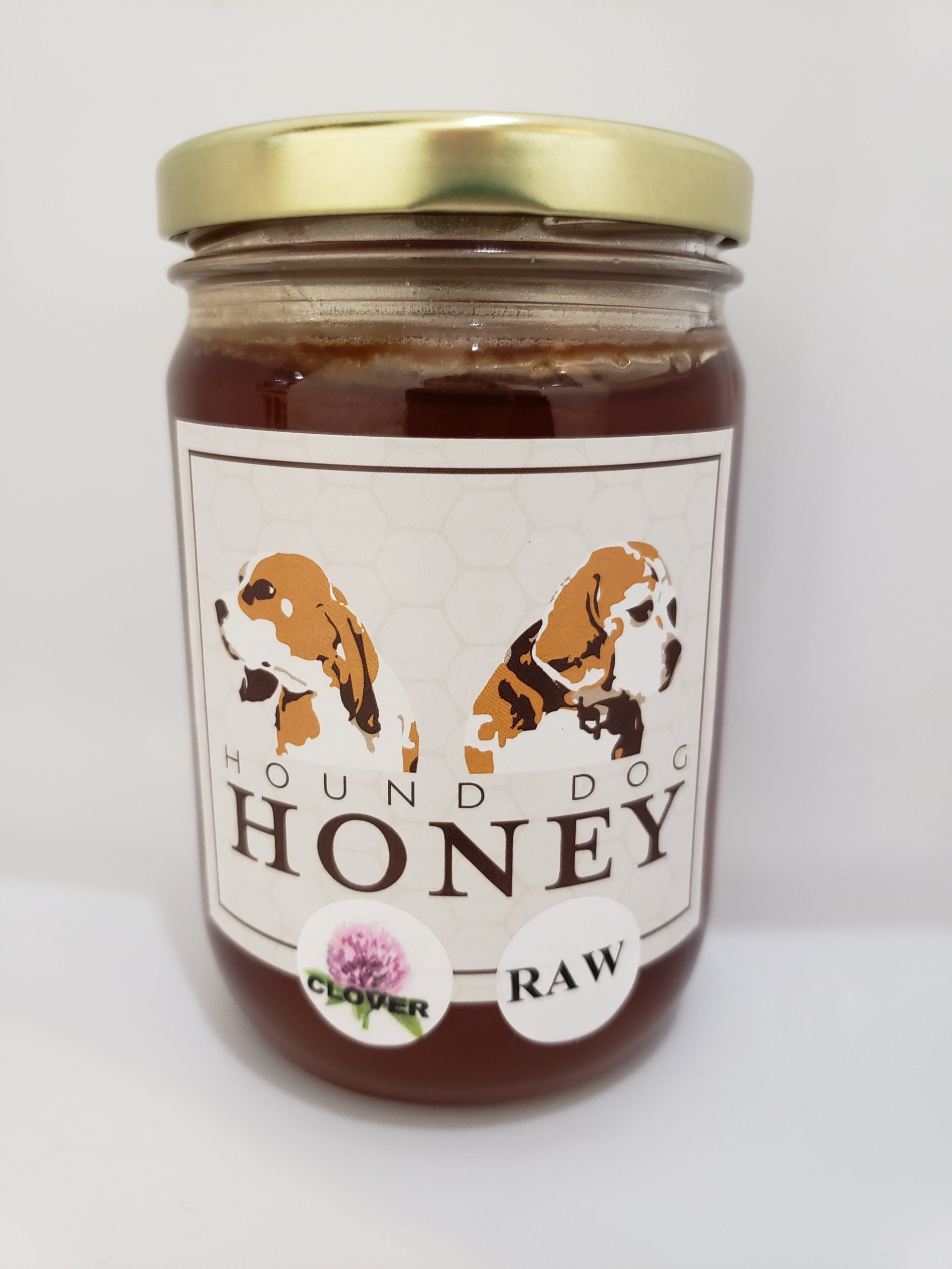 Hound Dog Clover Raw Honey – 1lb