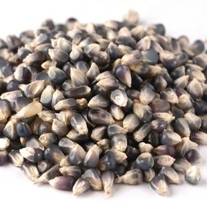 Black Jewel Popcorn Kernels