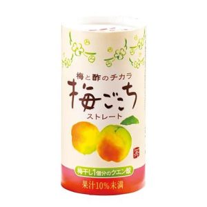Tokiwa Ume Flavored Japanese Drinking Vinegar Premix Drink 125ml