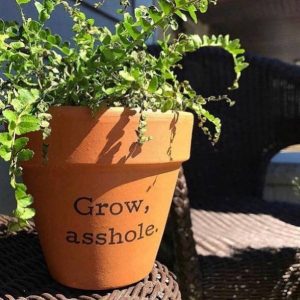 Buffalovely – Grow, A-Hole Terra Cotta Flower Pot