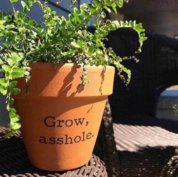 Buffalovely – Grow, A-Hole Terra Cotta Flower Pot