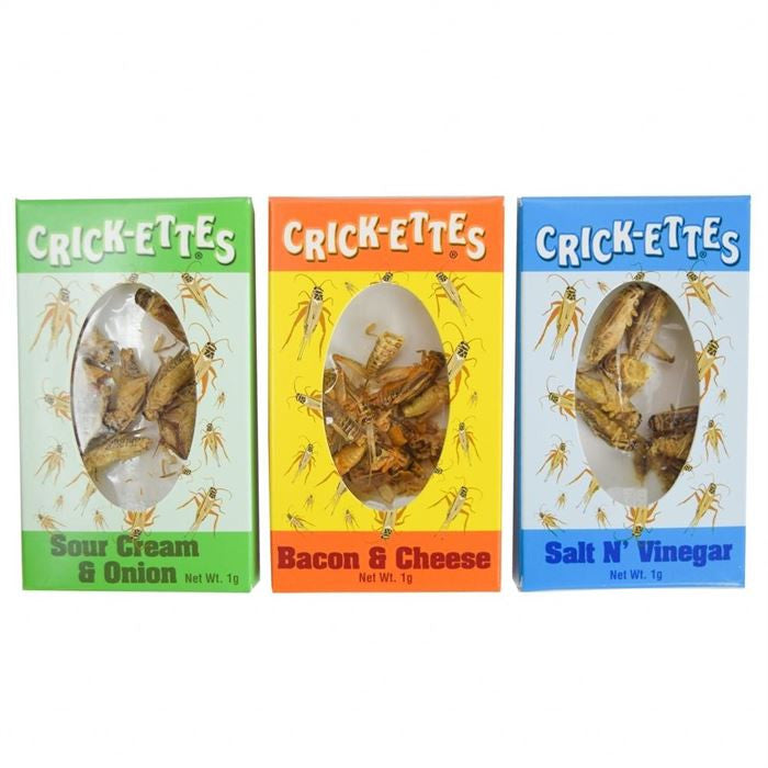 Crick-ettes Snax Assorted Box – 24 Count