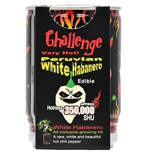 Challenge Peruvian White Habanero Pepper Plant – 350,000 SHU