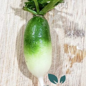 Chinese Green Luobo Radish BULK