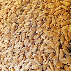Einkorn Berries