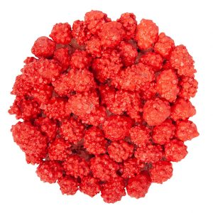 French Burnt Peanuts Bulk 1/2 lb
