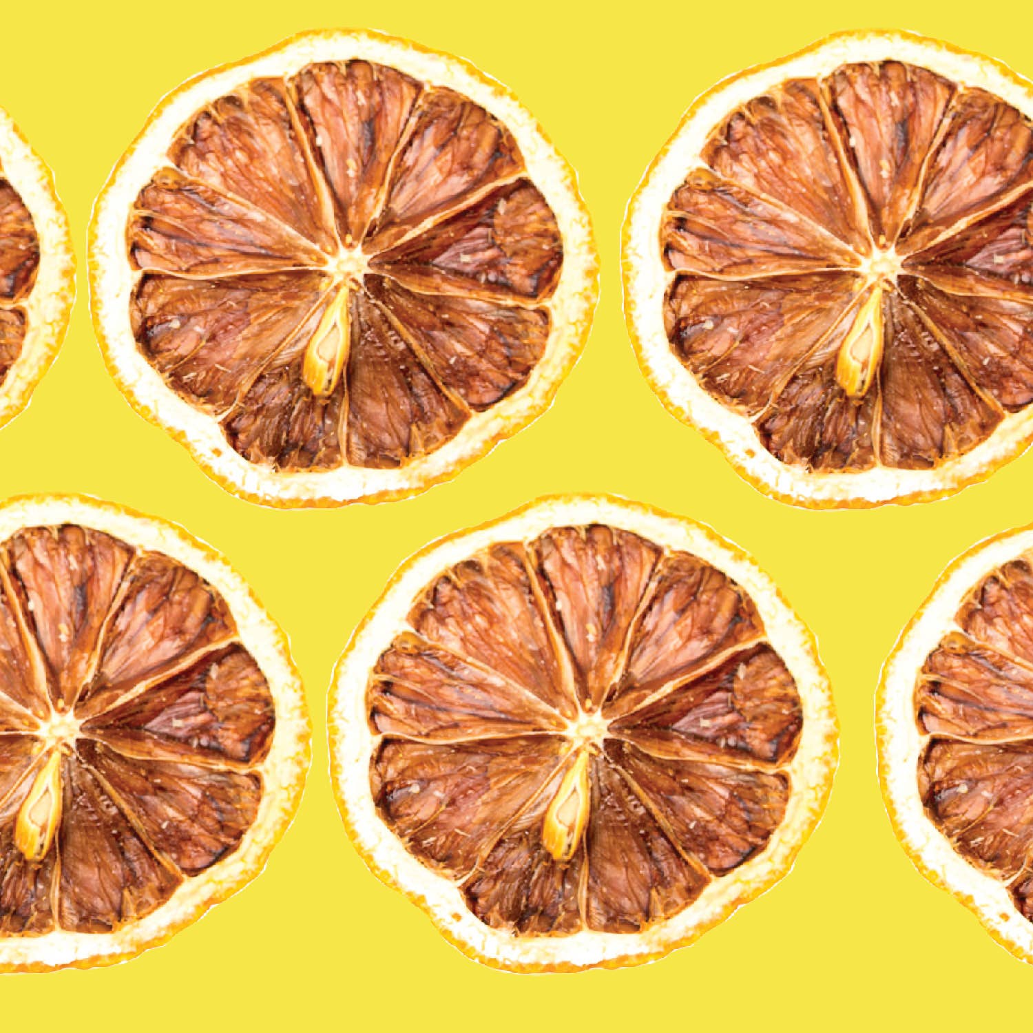 BlueHenry LLC – Dehydrated Lemon Wheels