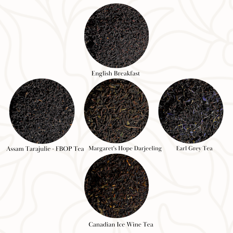 Classic Black Tea Collection