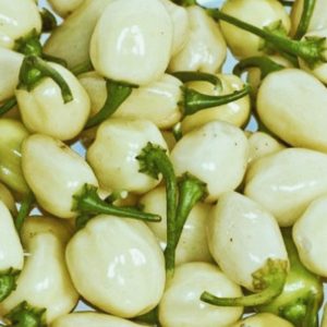 White Habanero Pepper