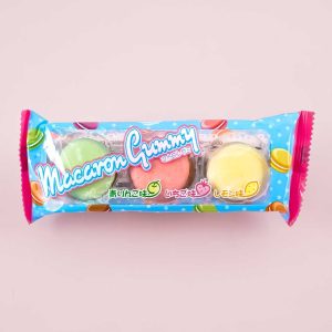 Yaokin Macaron Gummy – Assorted Fruits