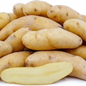 Russian Fingerling Potato