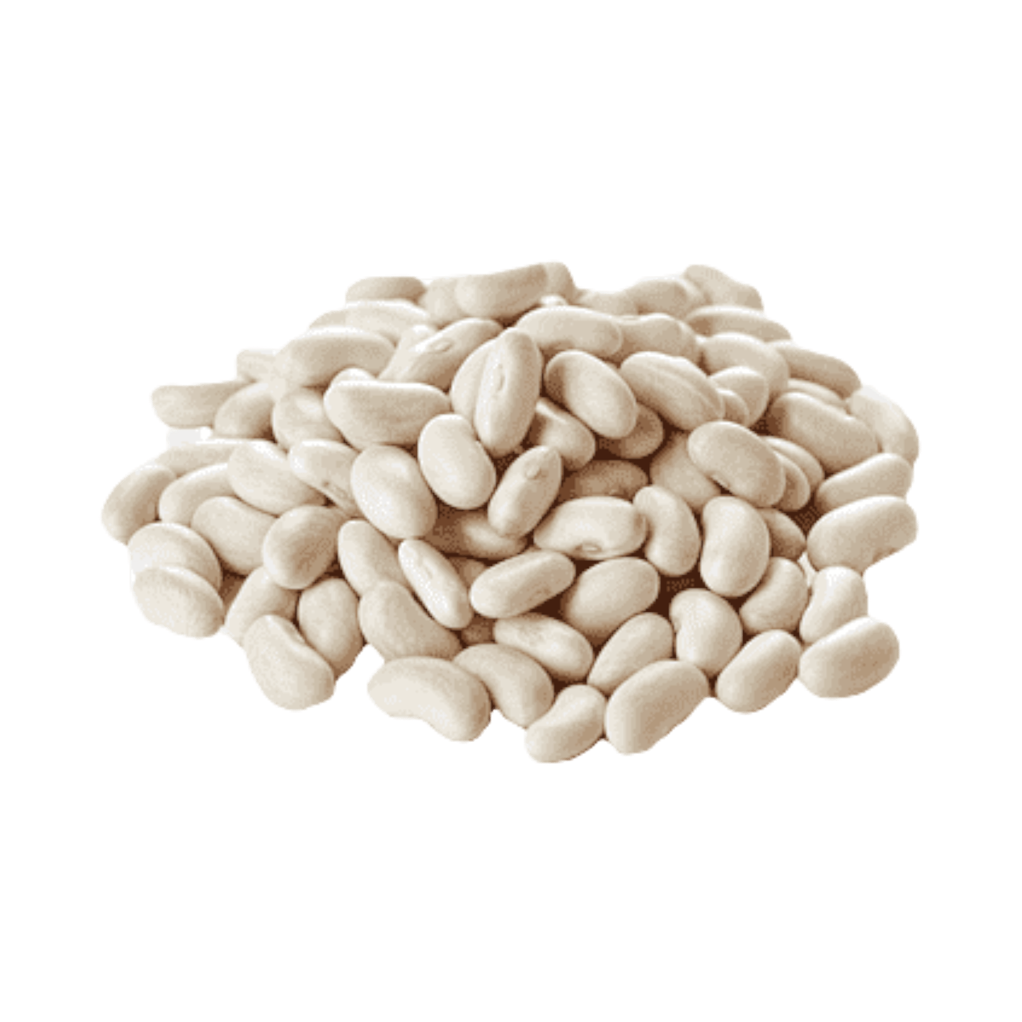 Navy Beans Dry
